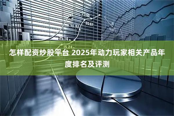怎样配资炒股平台 2025年动力玩家相关产品年度排名及评测