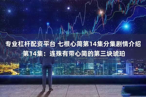 专业杠杆配资平台 七根心简第14集分集剧情介绍 第14集：连殊有带心简的第三块琥珀